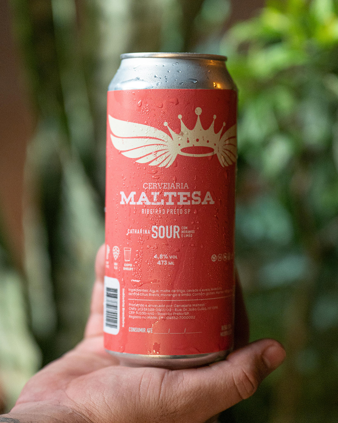 Catharina Sour com Morango e Limão Maltesa