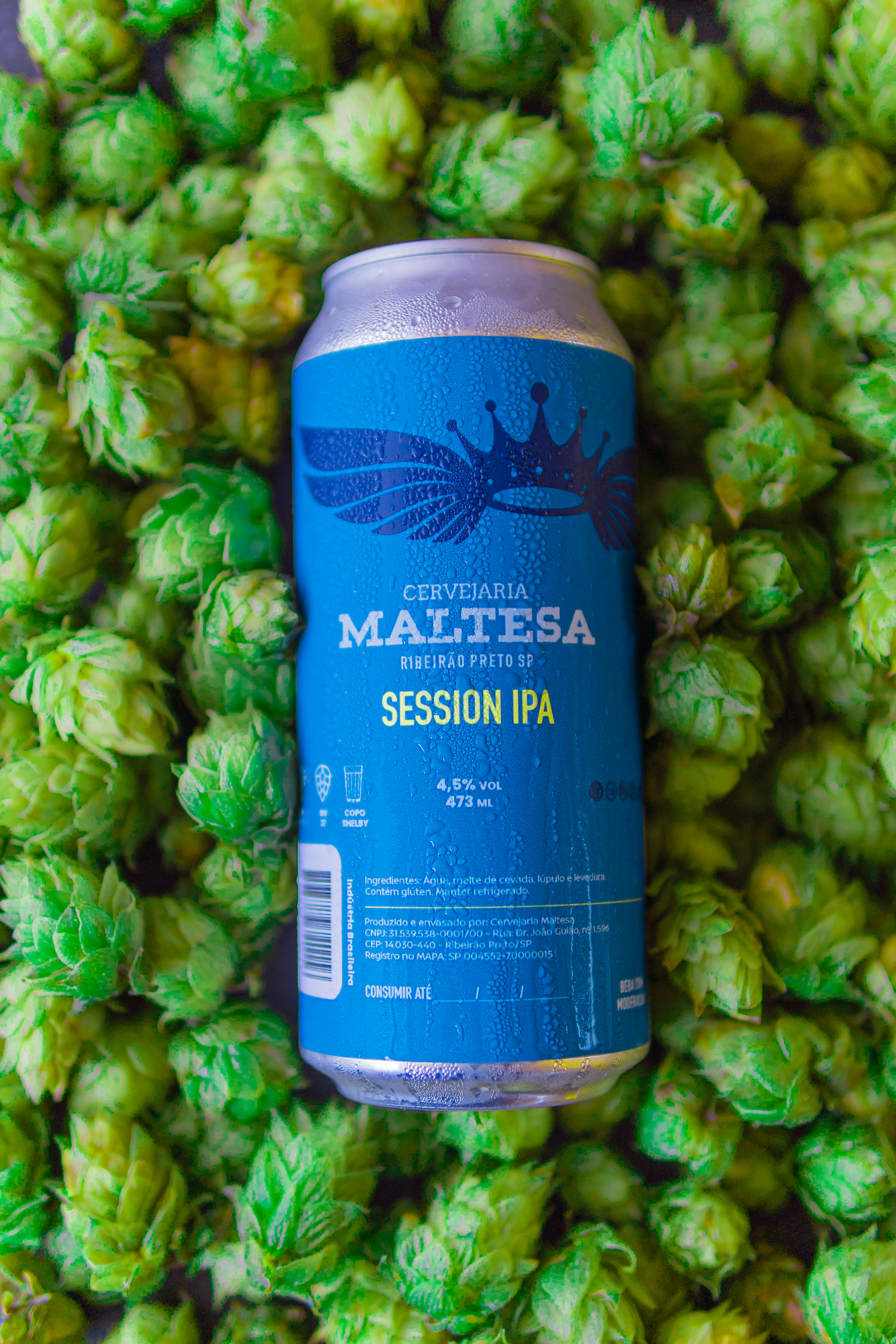 Session IPA Maltesa