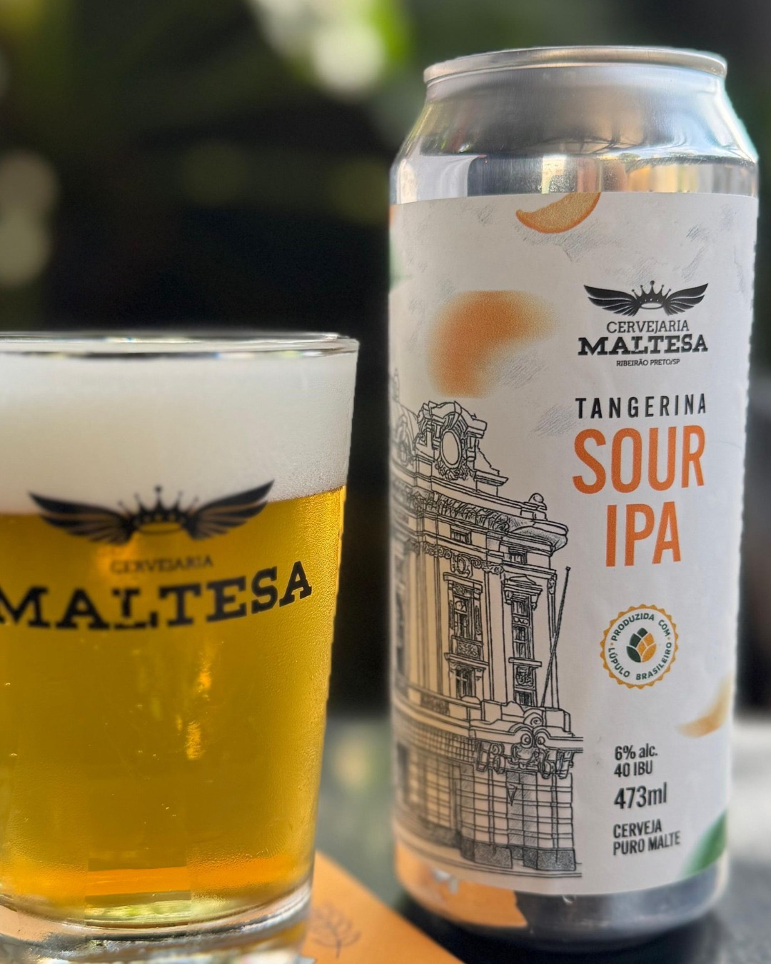 Sour IPA com Tangerina Maltesa